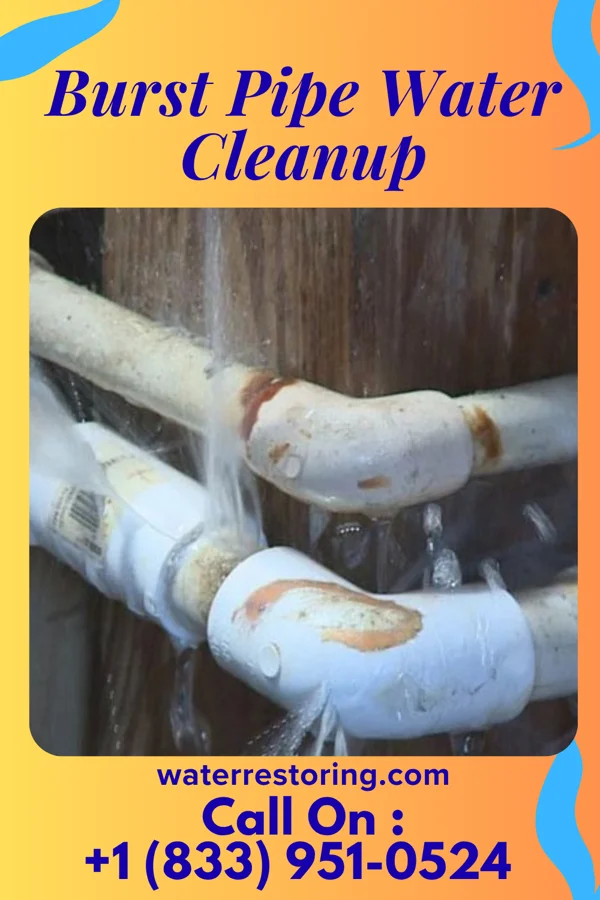 Burst Pipe Water Cleanup in Pillow, PA