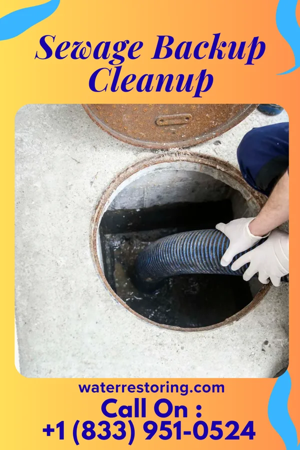 Sewage Backup Cleanup in Pillow, PA