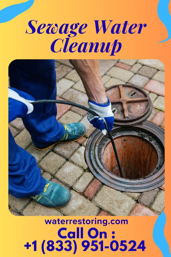 Sewage Water Cleanup in Pillow, PA